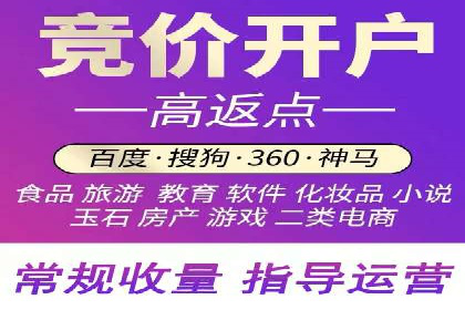 百度竞价代运营公司成功案例解析